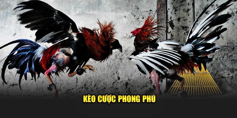 kèo cược phong phú trong đá gà New88