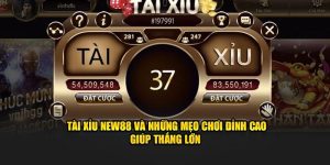 Tài xỉu New88